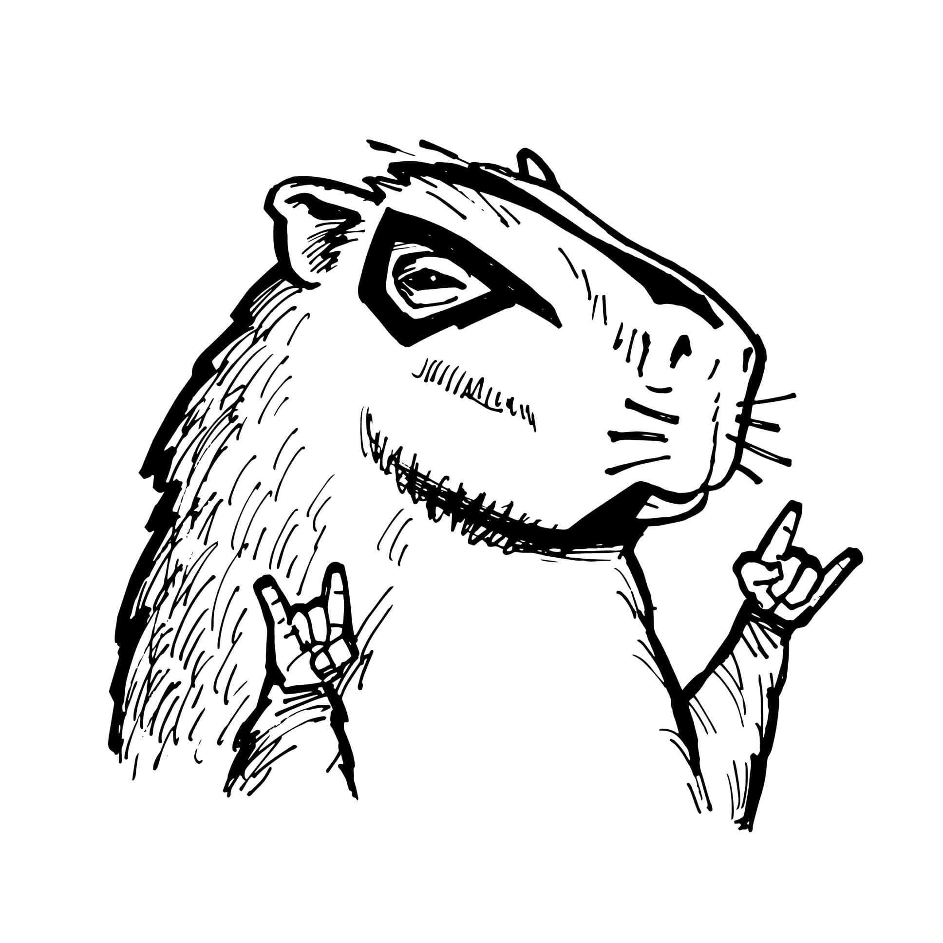 Dirty Loops - Illustration "Capybara"