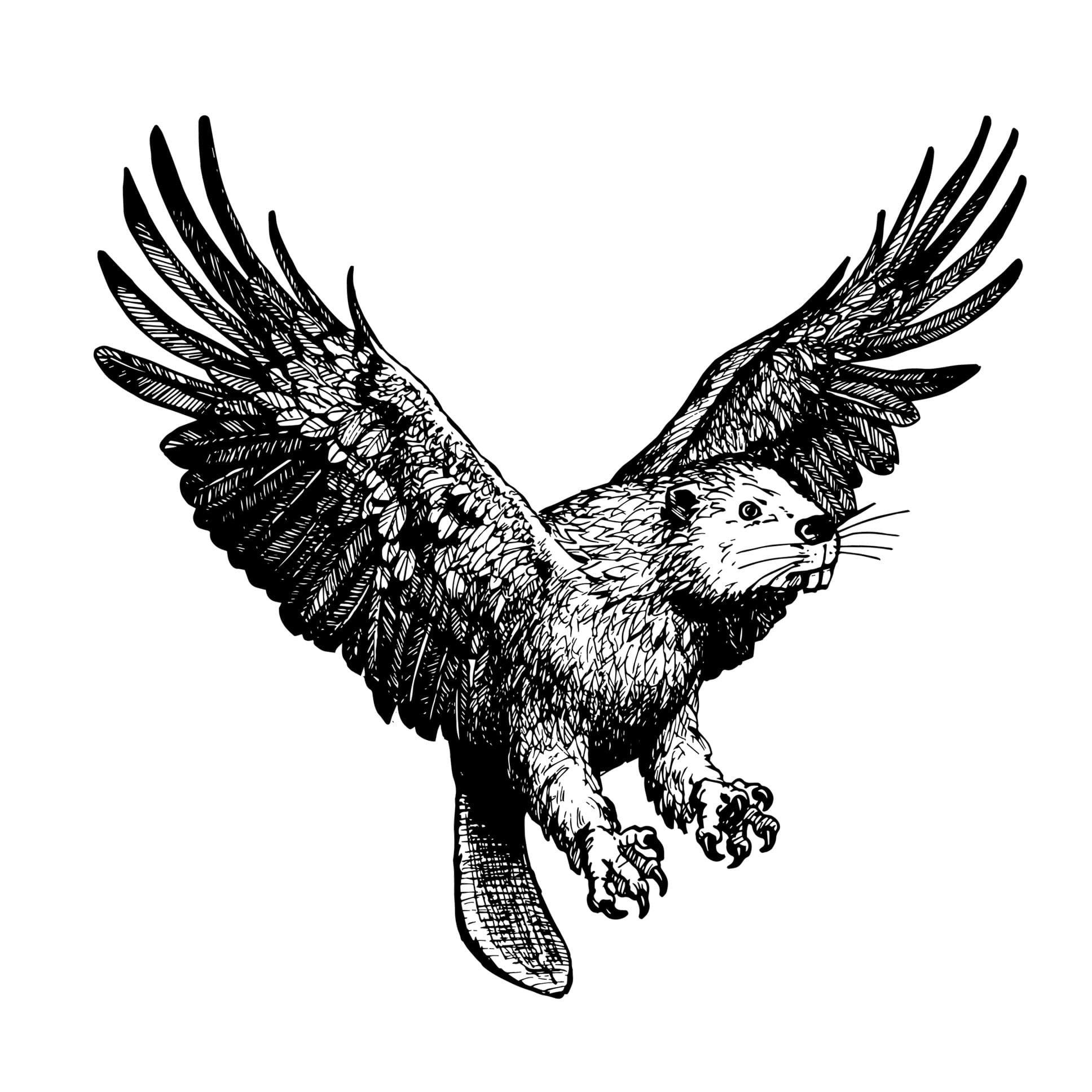 Dirty Loops - Illustration "EagleBeaver"